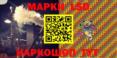 индика Новодвинск