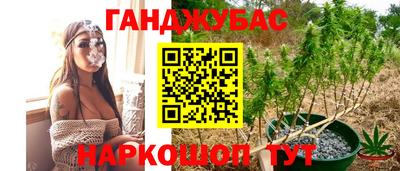 хмурый Новозыбков