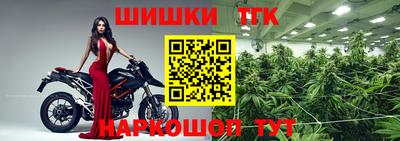 индика Новодвинск