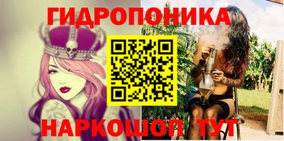 индика Новодвинск