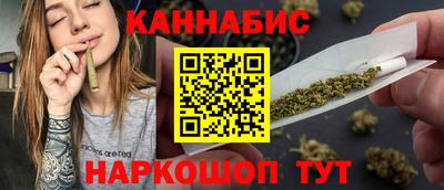 индика Новодвинск