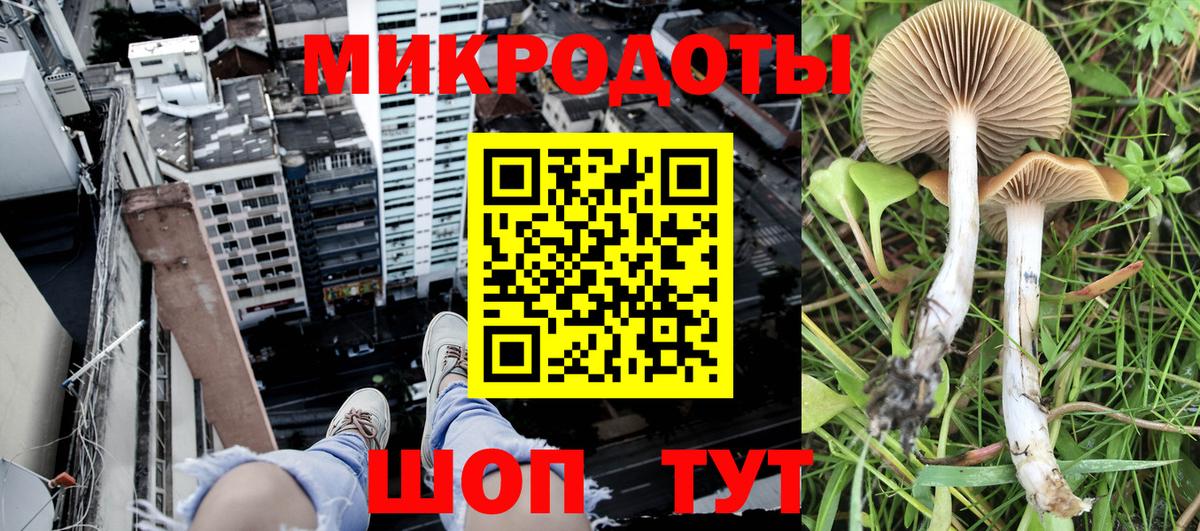 Галлюциногенные грибы Cubensis Урюпинск