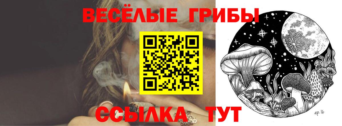 Урюпинск  Галлюциногенные грибы прущие грибы  Галлюциногенные грибы Cubensis  Вход с VPN 